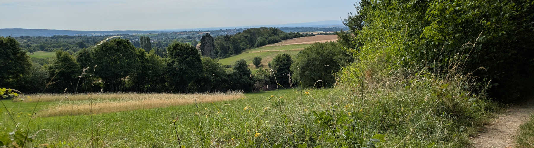 Rhein-Taunus-Klub